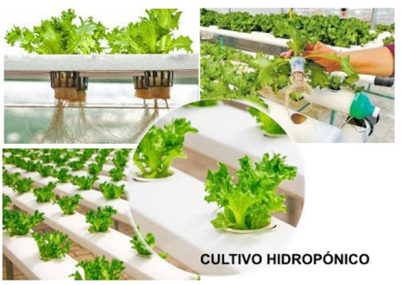 alimentacion.jpg