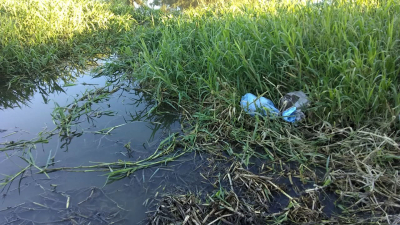 Intentaban cruzar el río con más de 12 kilos de marihuana