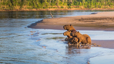 Turismo de naturaleza y conservación ganará terreno en la era post-pandemia