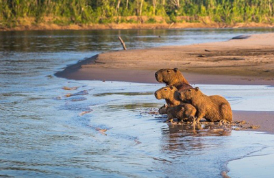 Turismo de naturaleza y conservación ganará terreno en la era post-pandemia