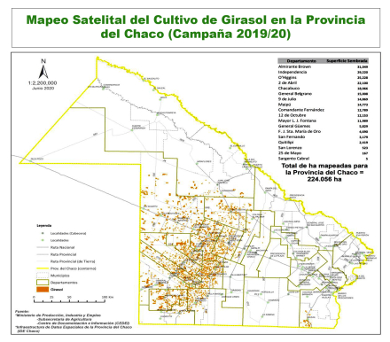 Mapeo Girasol 2020.jpg