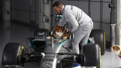Lewis Hamilton decidió hacer vegano a su perro y reveló los cambios que sufrió