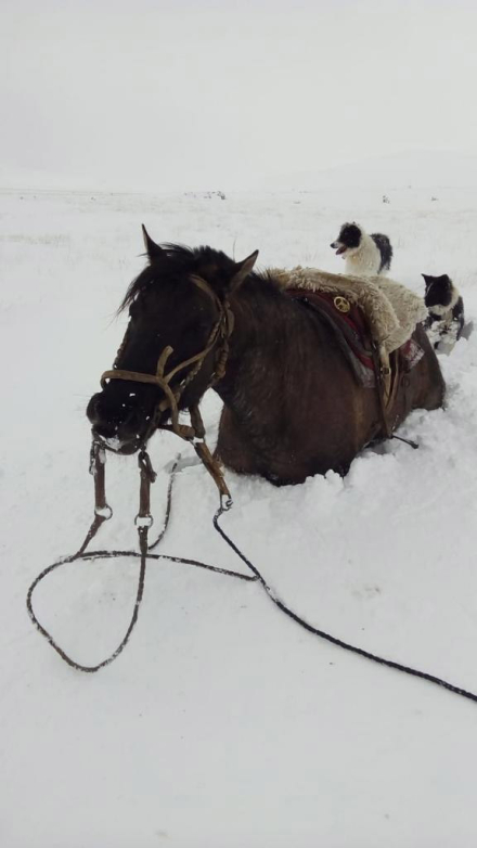 frio6.jpg