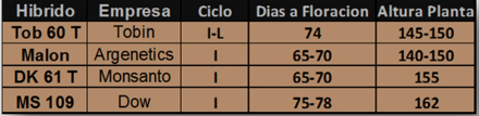 58ensayos.jpg