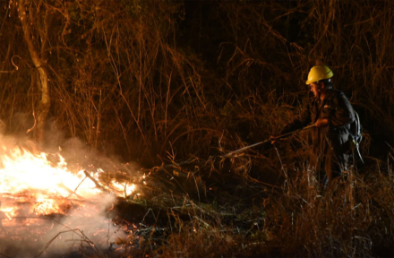 incendios2.jpg