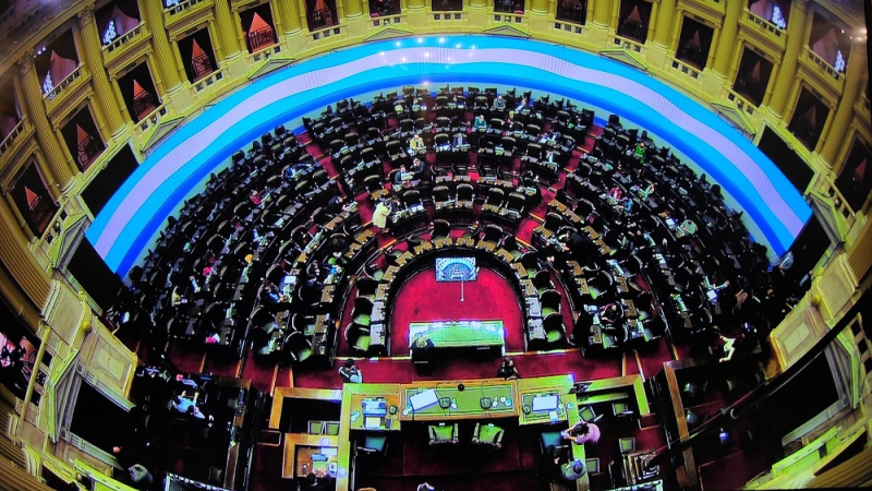 Madres y abuelas de Plaza de Mayo se presentan en Diputados