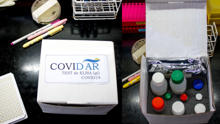 covid3.jpg