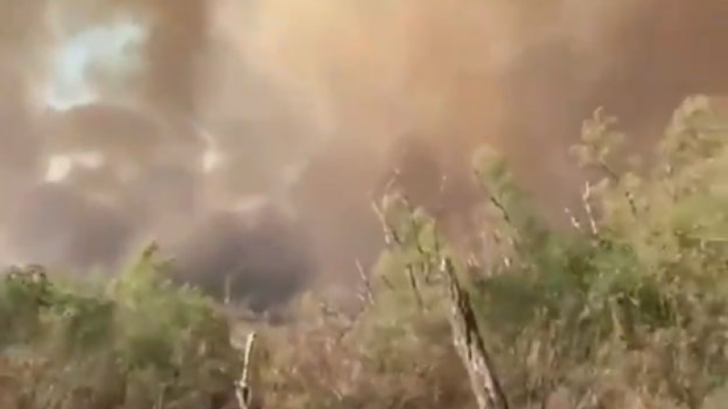 Rosario: incendios amenazan viviendas en las islas frente a la ciudad