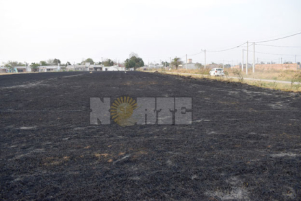 incendios-en-sequia1.jpg