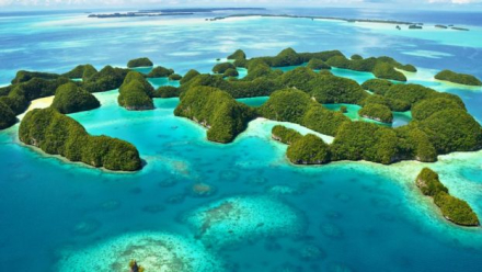 Palau 2.jpg