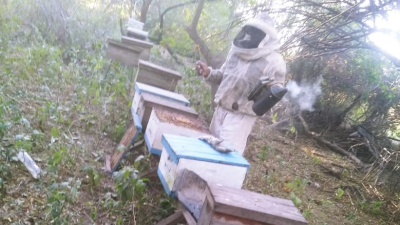 Productores apícolas piden asistencia ante la situación que atraviesan