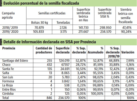 grafico.jpg