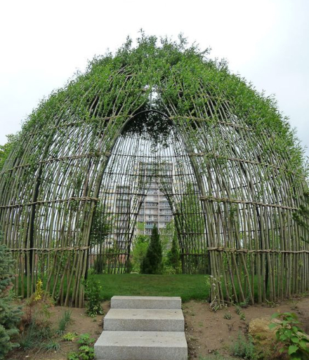vegetal05.jpg