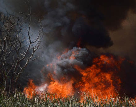 incendio3.jpg
