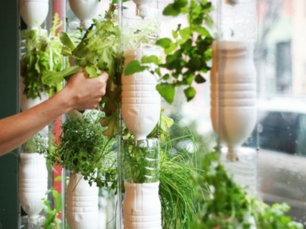 jardineria.jpg