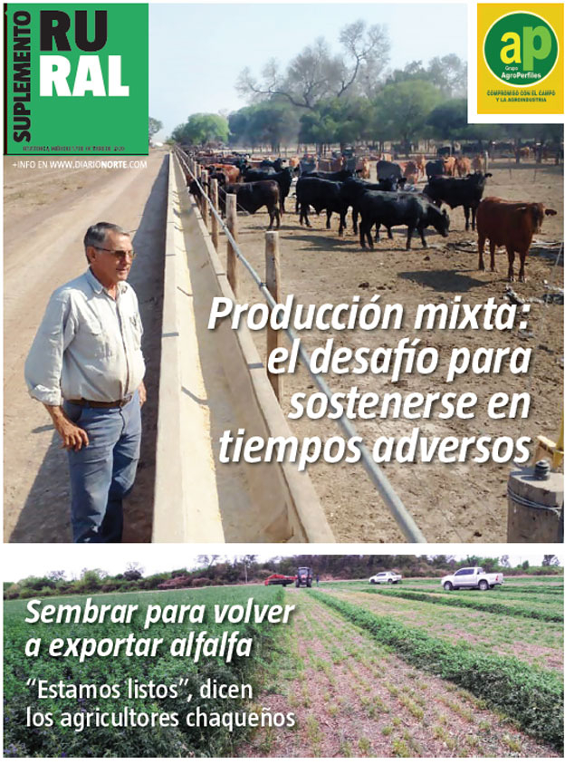 Producción mixta: el desafío para sostenerse en tiempos adversos