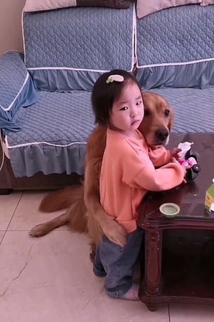 perro5.jpg