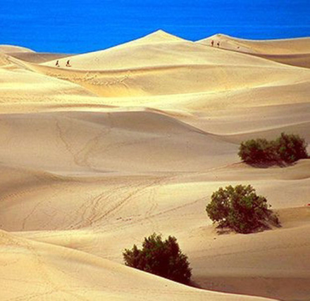 dunas3.jpg