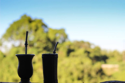 mate y tere.jpg