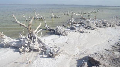 Atribuyen a las aguas de un lago la ausencia de contagios en Adolfo Alsina