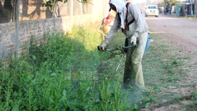 Charata se prepara para una etapa clave de la prevención contra el dengue