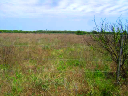 terrenos.jpg