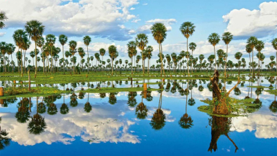 Los 23 maravillosos sitios Ramsar de Argentina