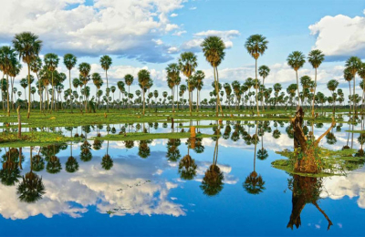 Los 23 maravillosos sitios Ramsar de Argentina