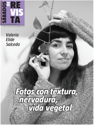 Fotos con textura, nervadura, vida vegetal