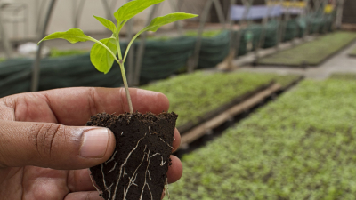 El Instituto Agrotécnico “Pedro M. Fuentes Godo”, en el Congreso de Agroecología