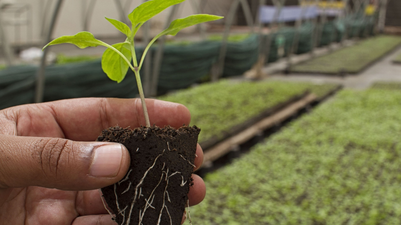 El Instituto Agrotécnico “Pedro M. Fuentes Godo”, en el Congreso de Agroecología