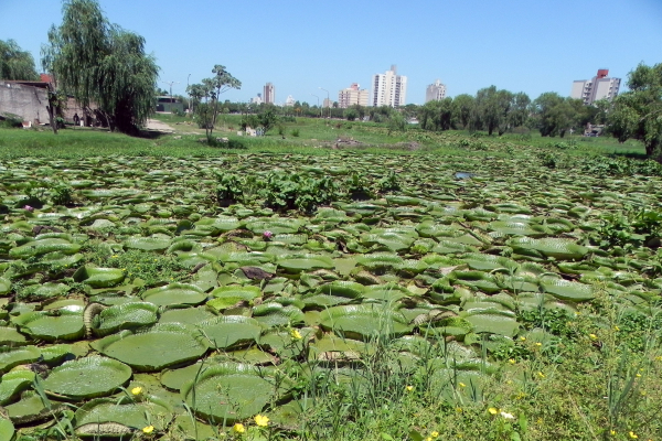 Laguna Argϋello, entre la belleza natural y la basura