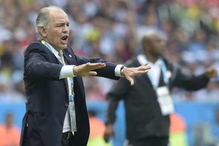 sabella2.jpg