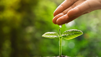 Invitan a participar de la próxima Revista Agrotecnia