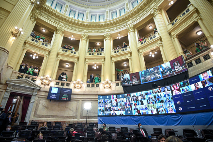senadores2.jpg