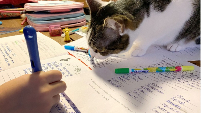 Los animales domésticos con Covid-19 no contagian a las personas