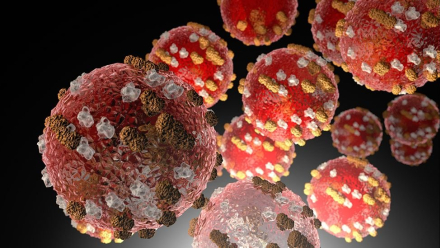 corona dengue.jpg