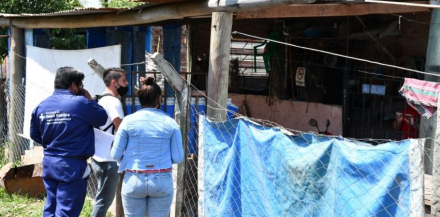 dengue 1.jpg