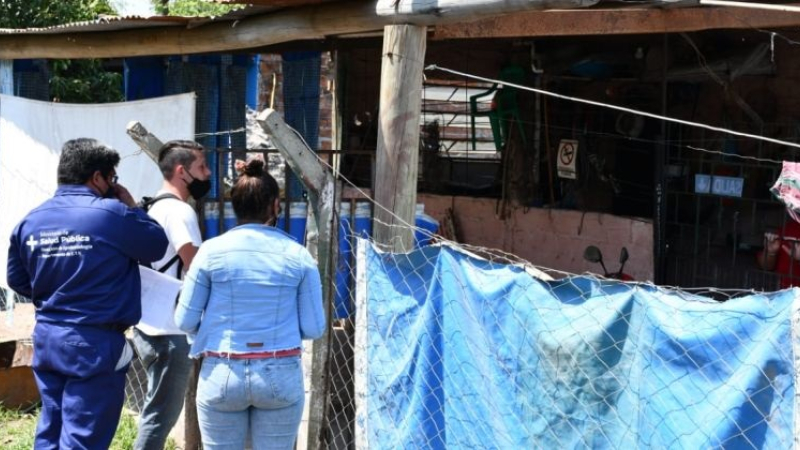 Cinco casos probables de dengue a la espera de confirmación y serotipo
