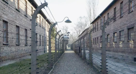 auschwitz.jpg