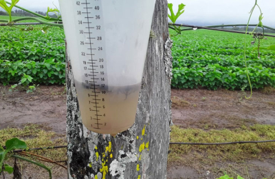 El campo, entre la lluvia, los mercados y las medidas del Gobierno