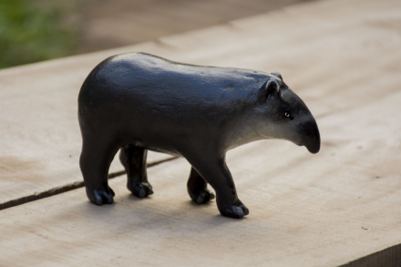 tapir.jpg