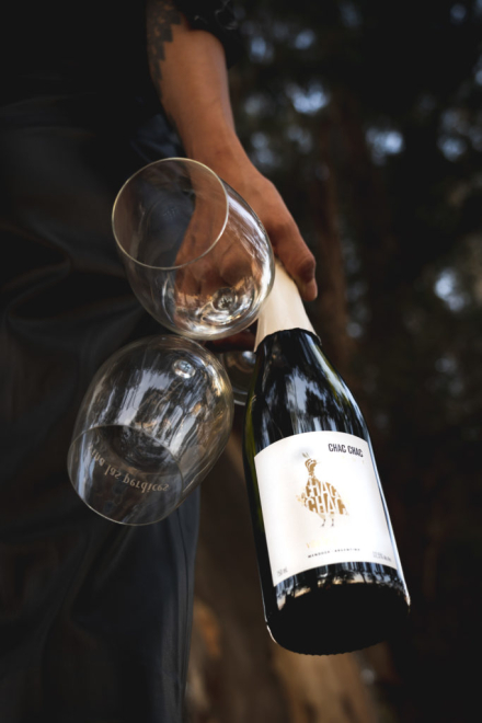 vino4.jpg