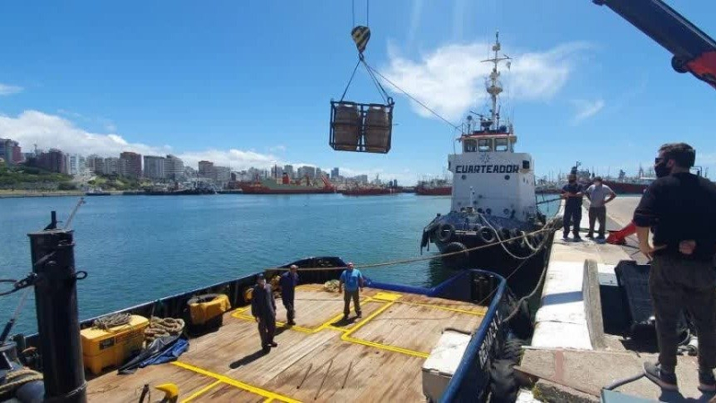 Roban barricas de cerveza del fondo del mar que habían sumergido cervecerías para fin benéfico 