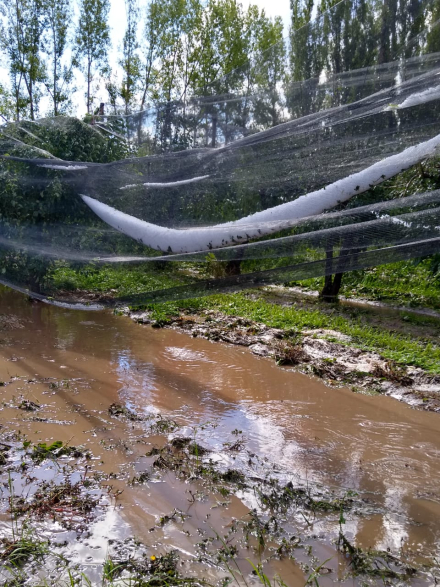 granizo1.jpg