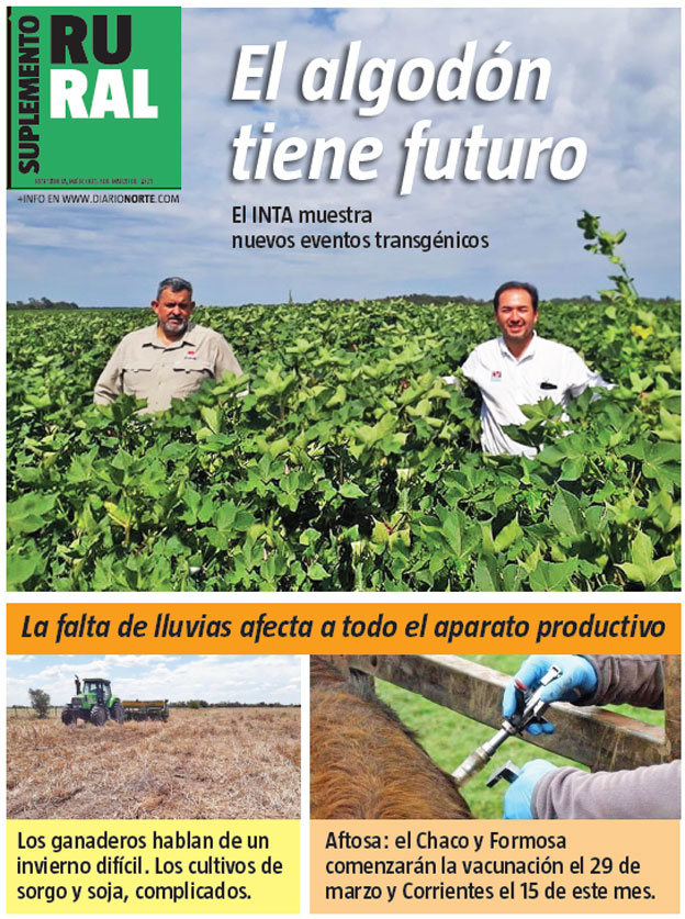 El algodón tiene futuro