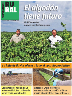 El algodón tiene futuro