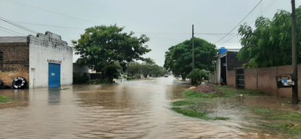 58lluvia charata 2.jpg