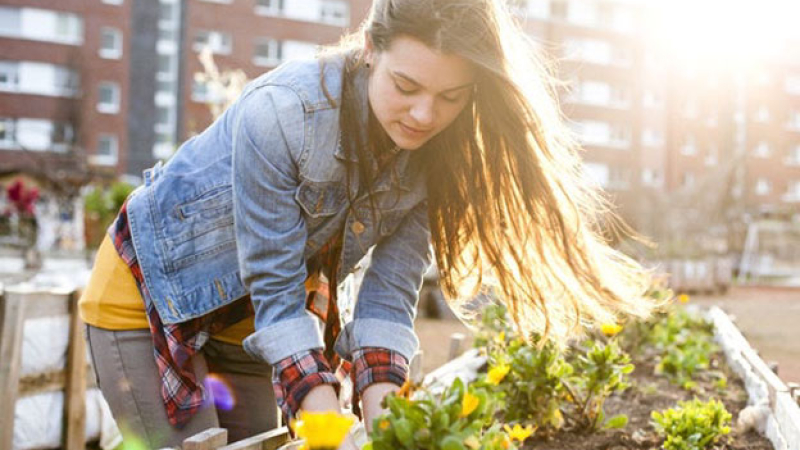 Estas son las cosas que podemos hacer en casa para ayudar al medio ambiente