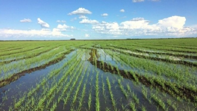 “Hay que buscar un equilibrio para vivir en armonía con la naturaleza”